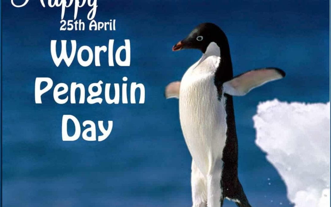 Penguin Day 2023