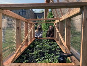Students peek through the SOMS greenhouse garden