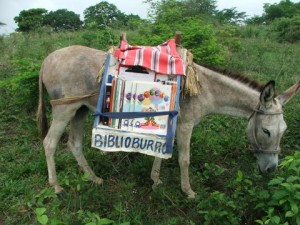 burro4