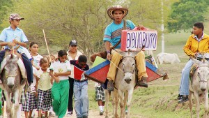 burro5